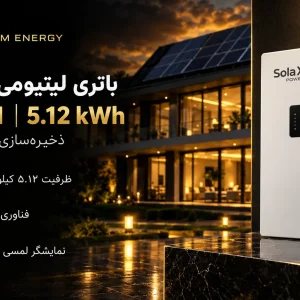 SolaX TB-LD51 Black-Gold Solar Battery